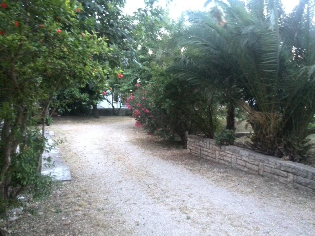 Apartment Tome Biograd Na Moru Quarto foto